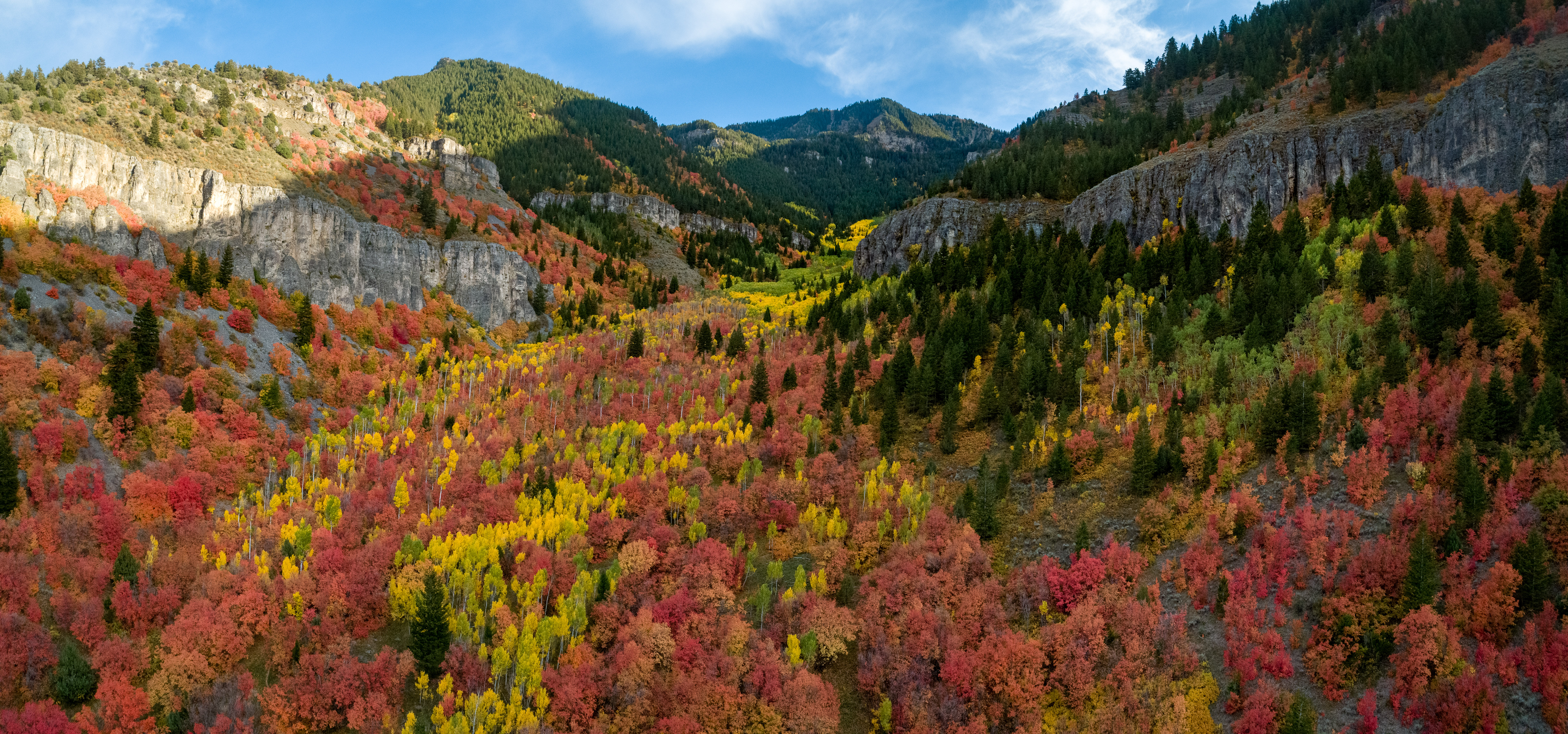 Logan Canyon